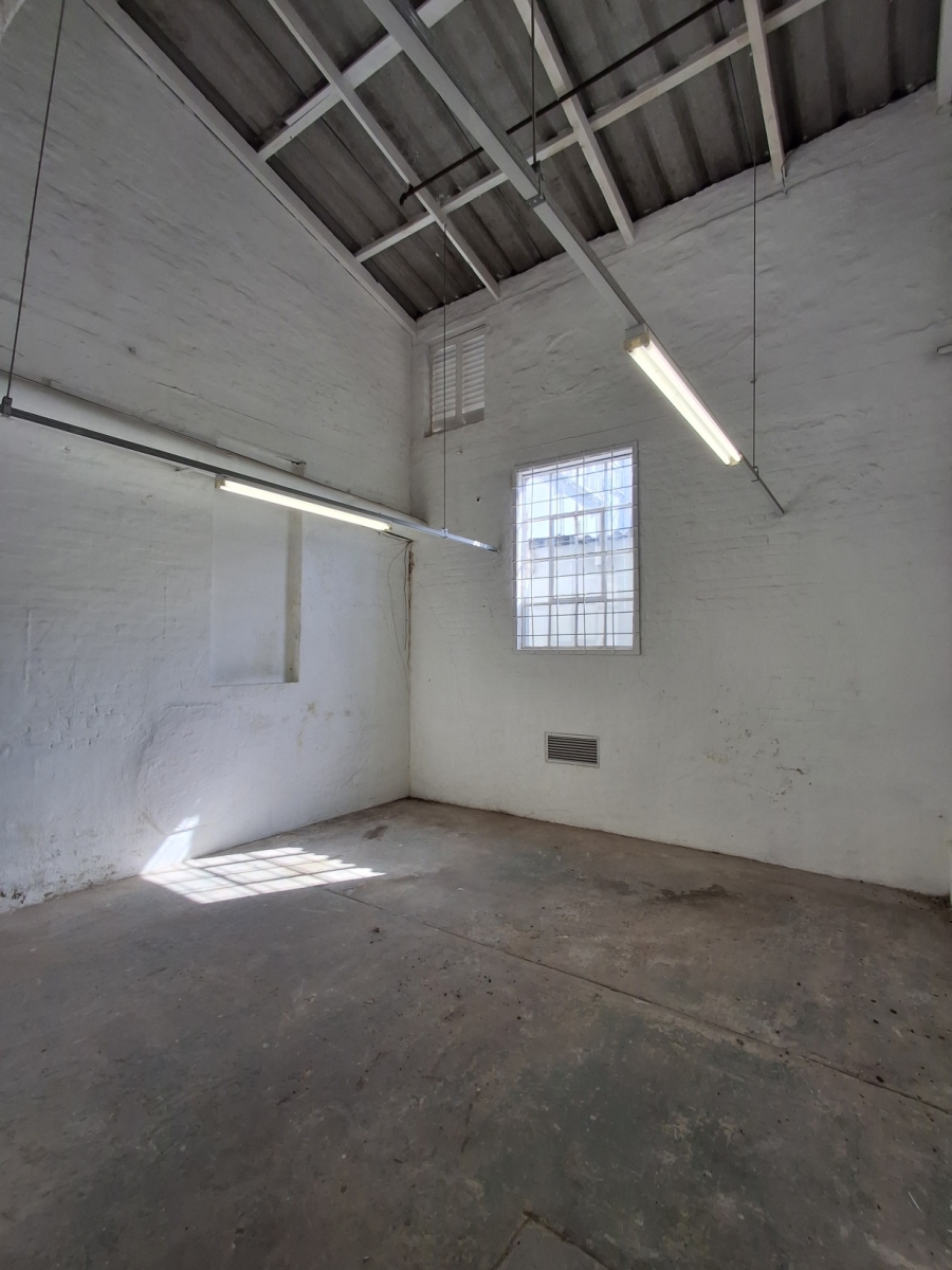To Let Commercial Property for Rent in Arcadia Eastern Cape